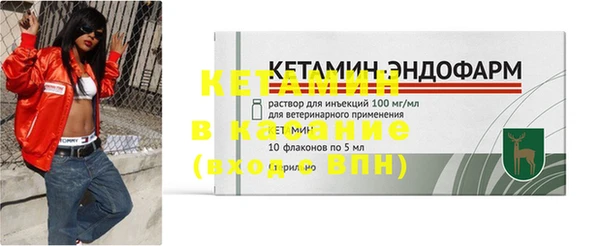 шишки Абаза