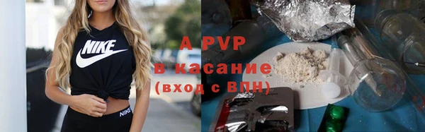 шишки Абаза