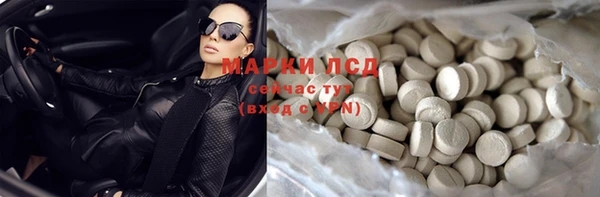шишки Абаза
