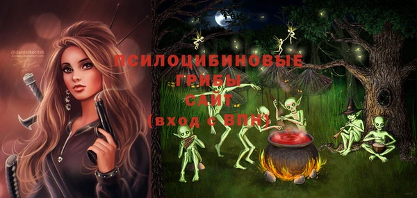 МДПВ Абинск