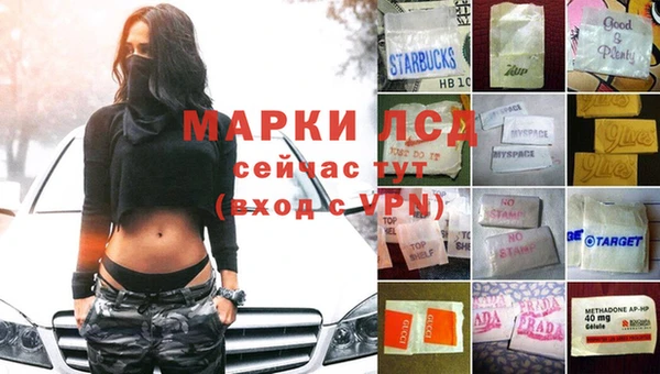 шишки Абаза