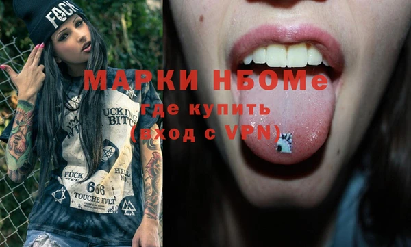 шишки Абаза