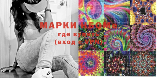 шишки Абаза