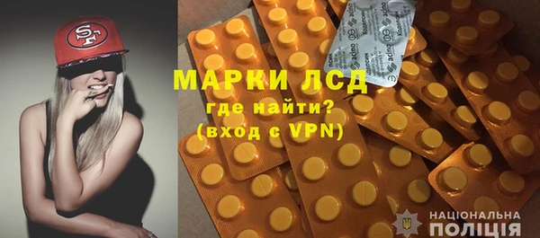 шишки Абаза