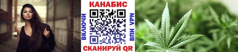 Бошки марихуана план  цены наркотик  MEGA маркетплейс  Шадринск 